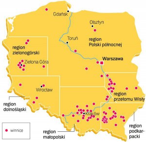 mapa polskich winnic lubimywino_pl
