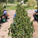 Agrentyna bodega TEMPUS ALBA lubimywino.pl Folwark Stara Winiarnia