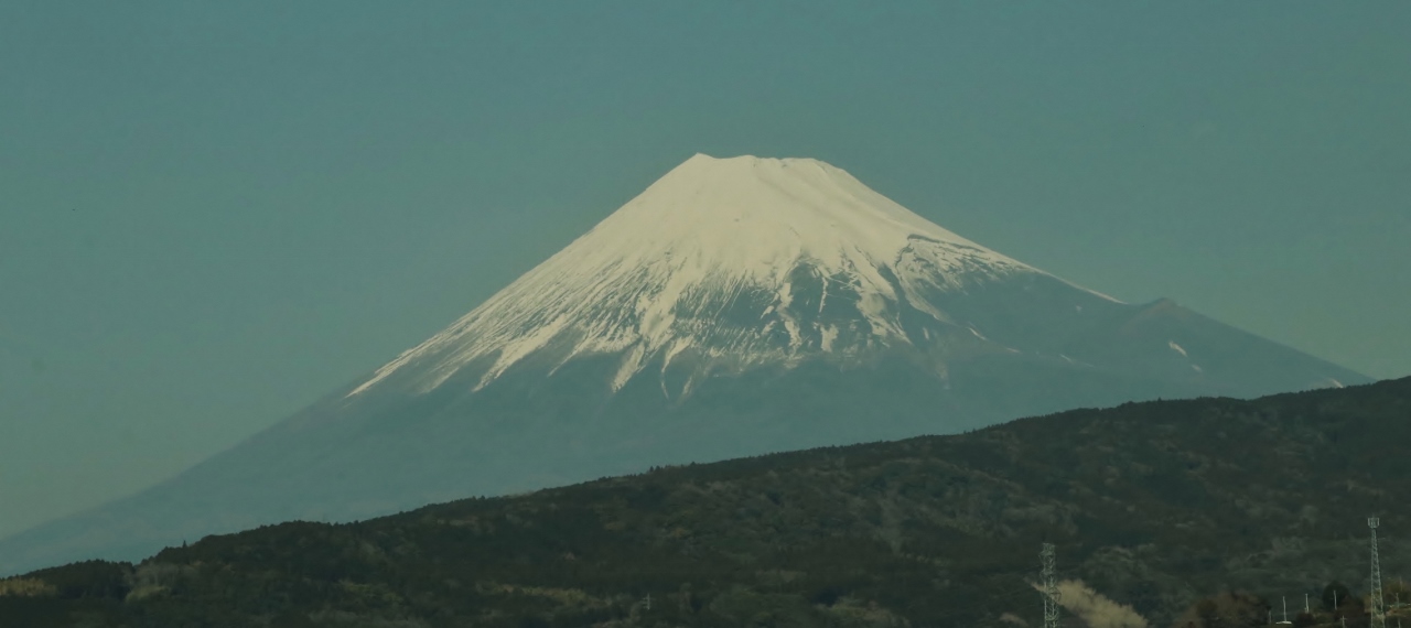 Sake - japoński tradycyjny alkohol z ryżu