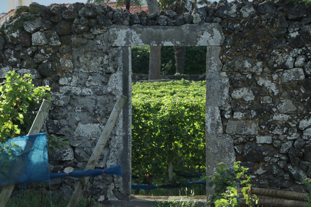 QUINTA DA JARDINETE S.MIGUEL ISLAND VINEYARD AND WINERY AZORY - ACORES Folwark Stara Winiarnia lubimywino.pl