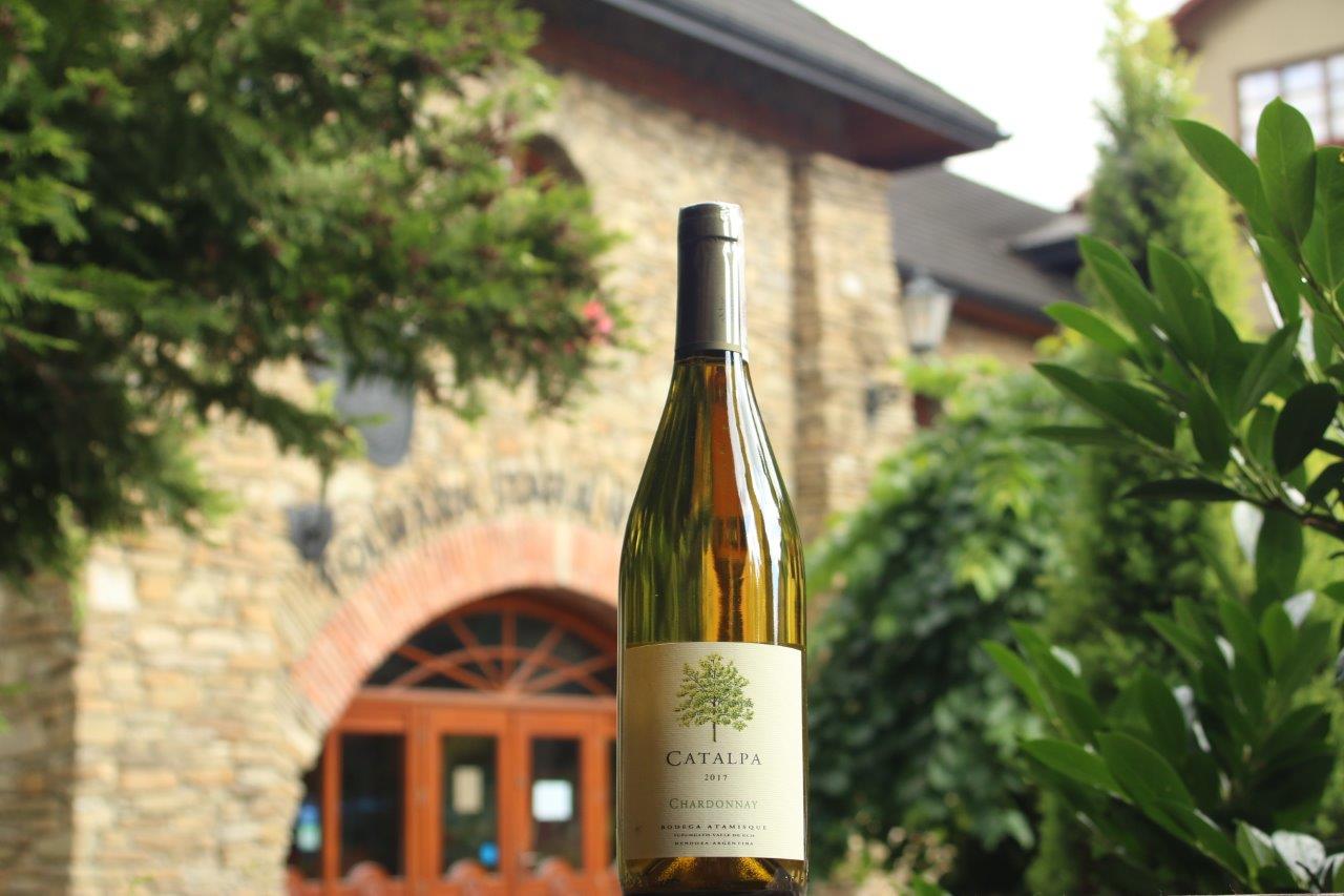 Degustacja win z Argentyny