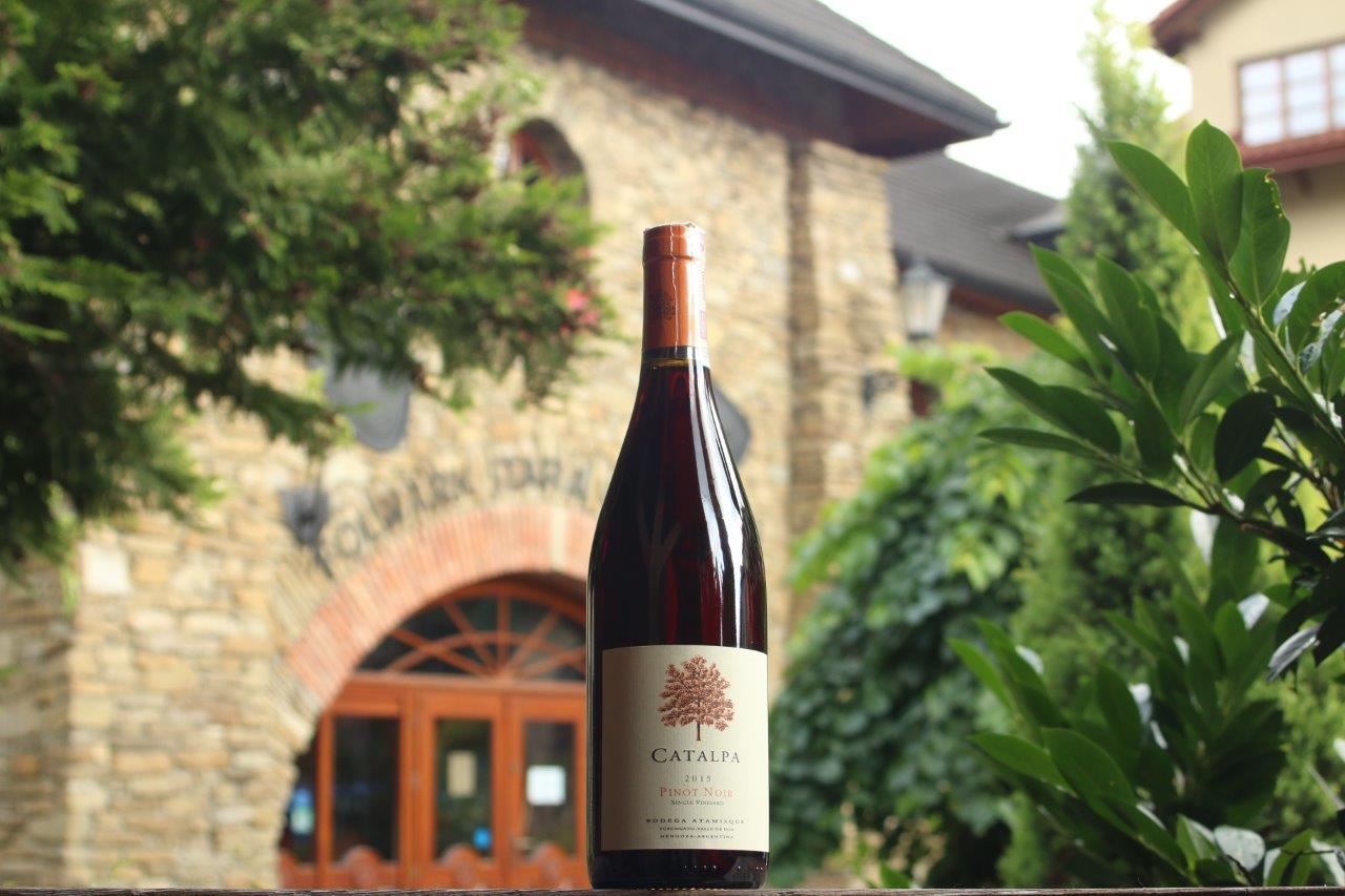 Degustacja win z Argentyny