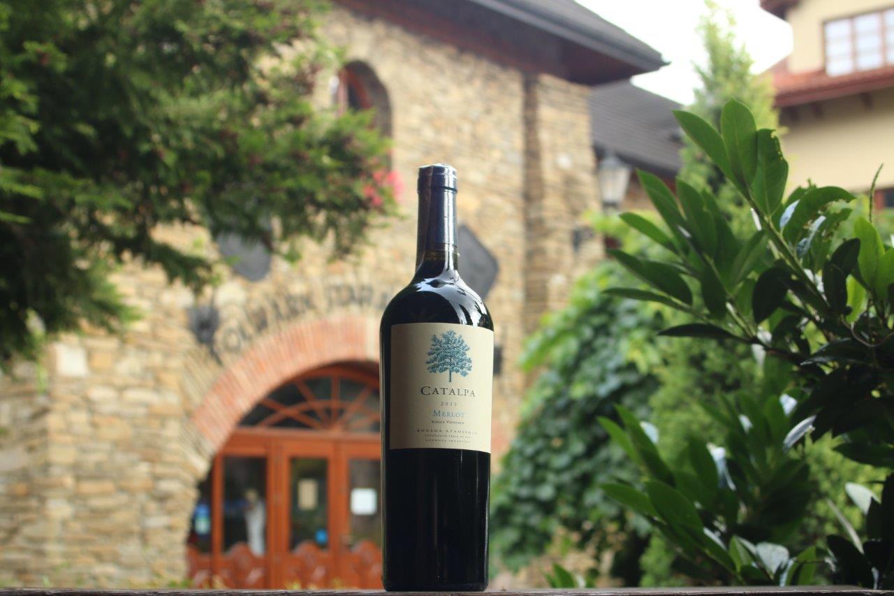 Degustacja win z Argentyny