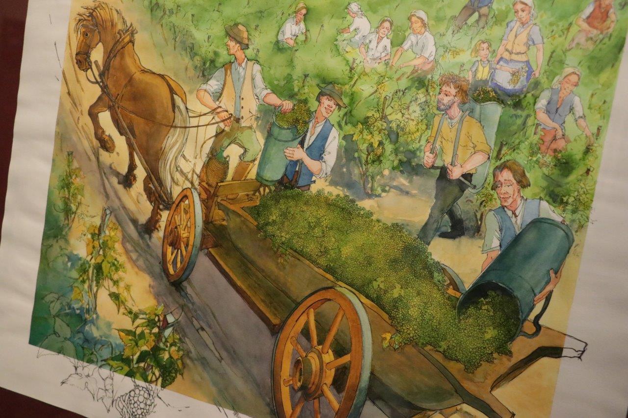 MUZEUM WINA