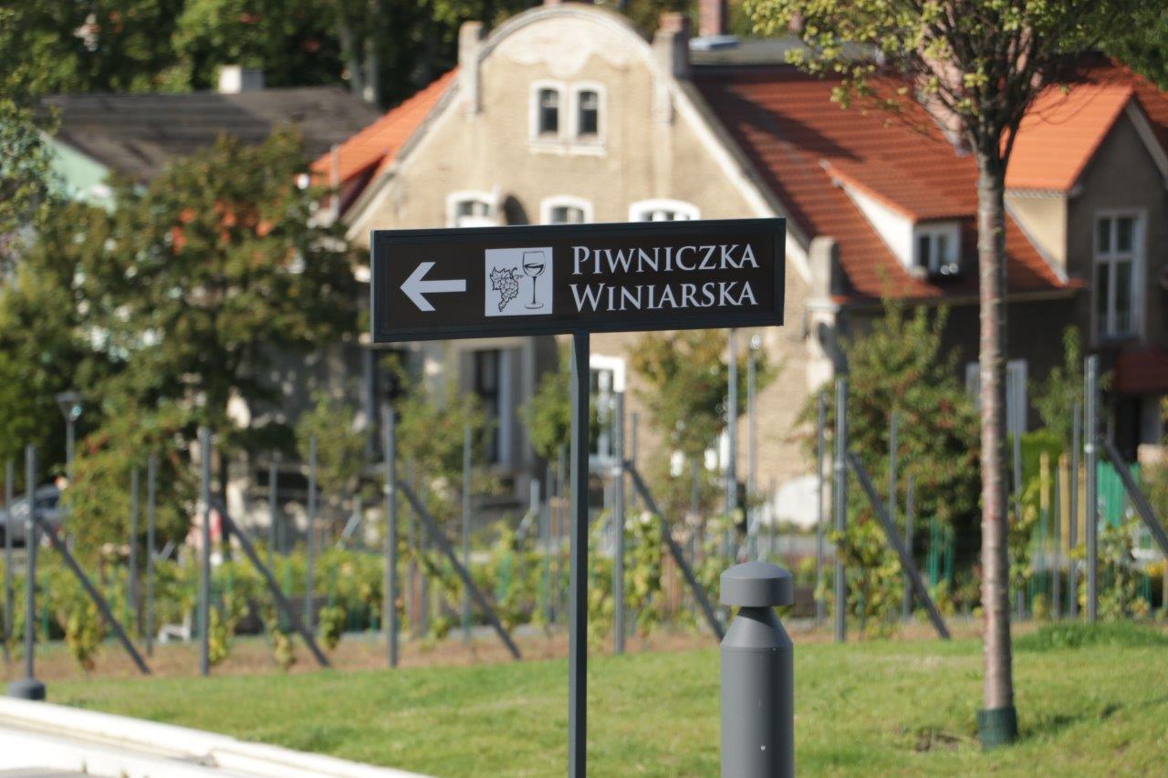 Winnica na Wzgórzu 