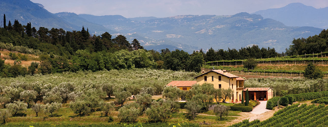 Tenuta Valleselle