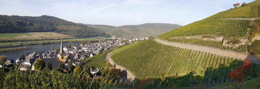 Selbach-Oster nad Mozelą