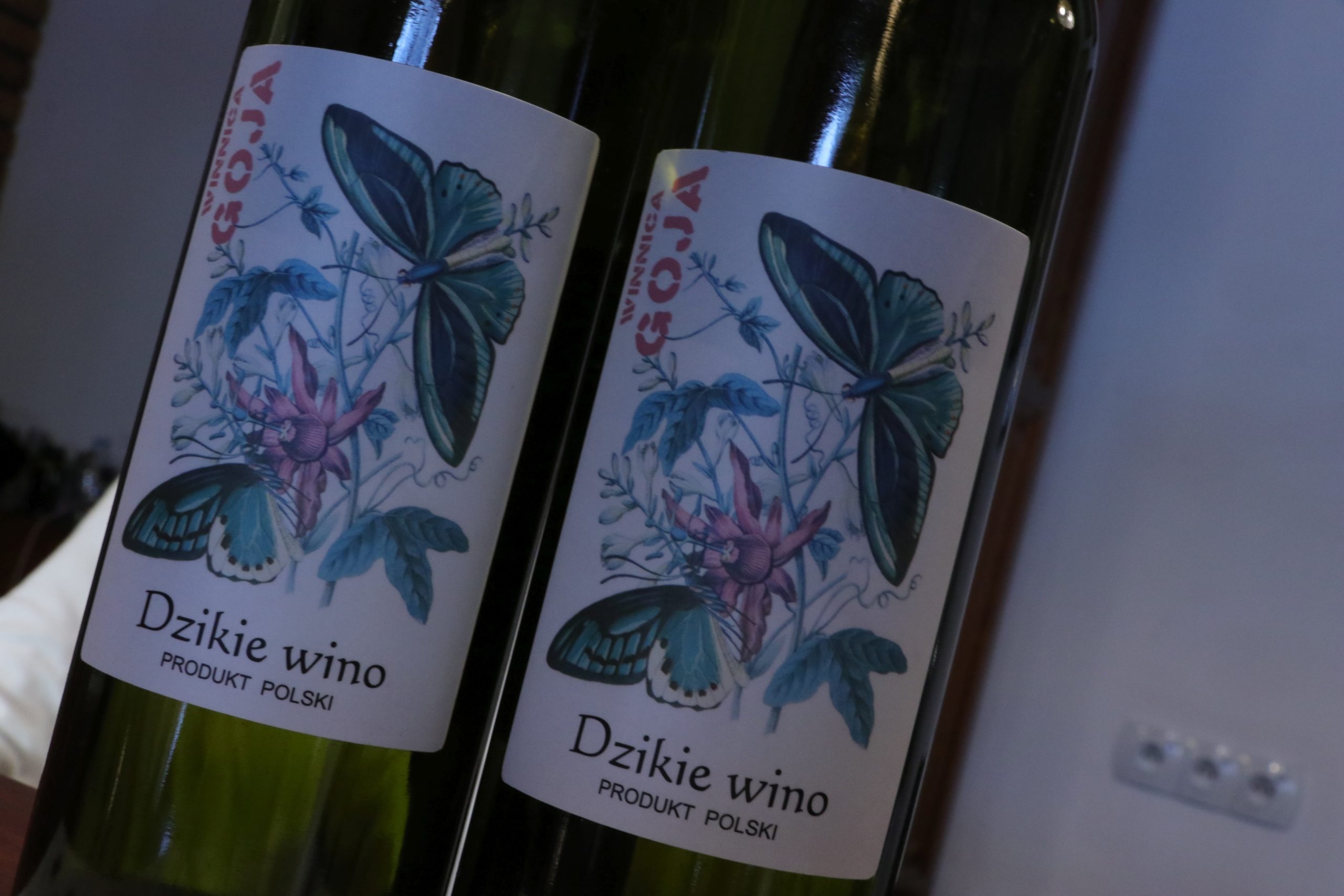 Dzikie Wino Winnica GOJA