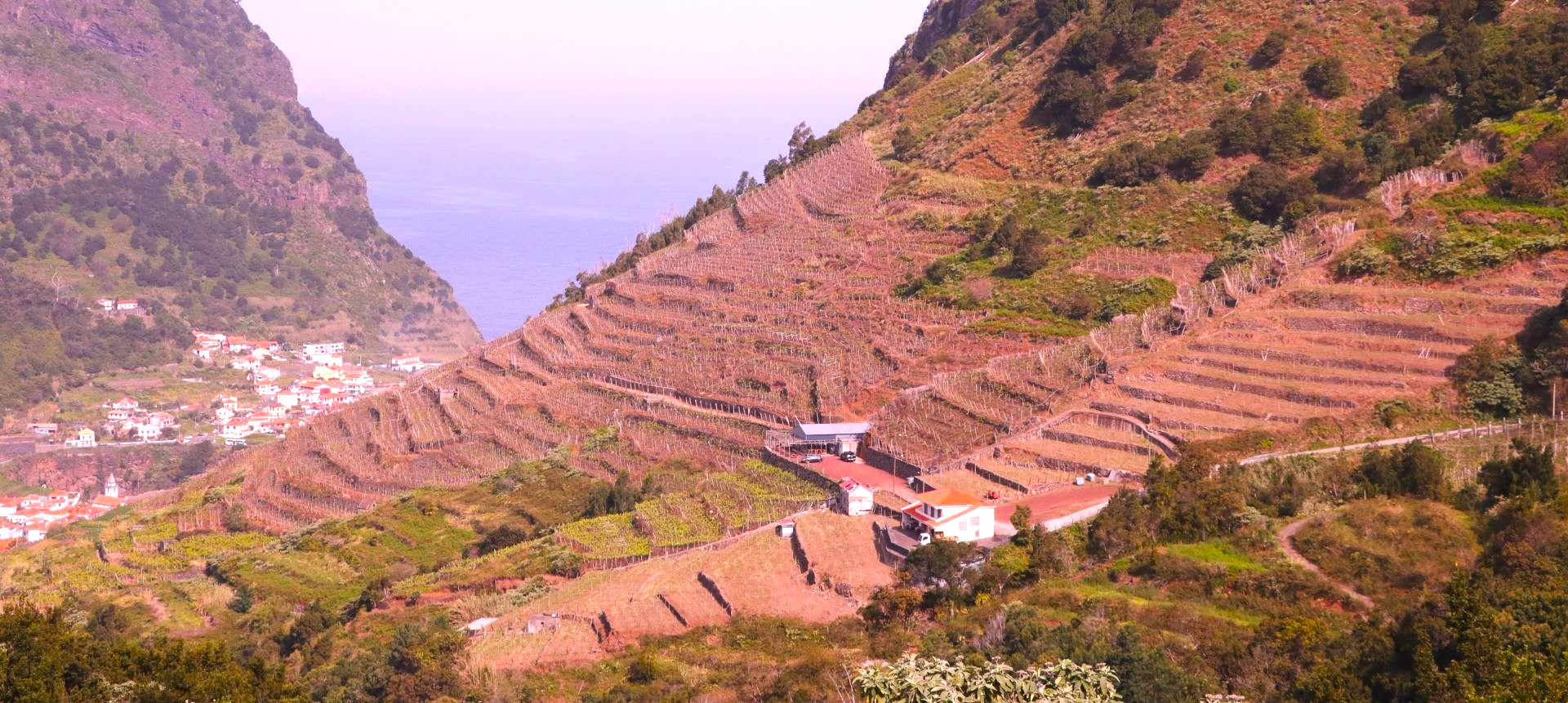 Quinta do Barbusano Madera