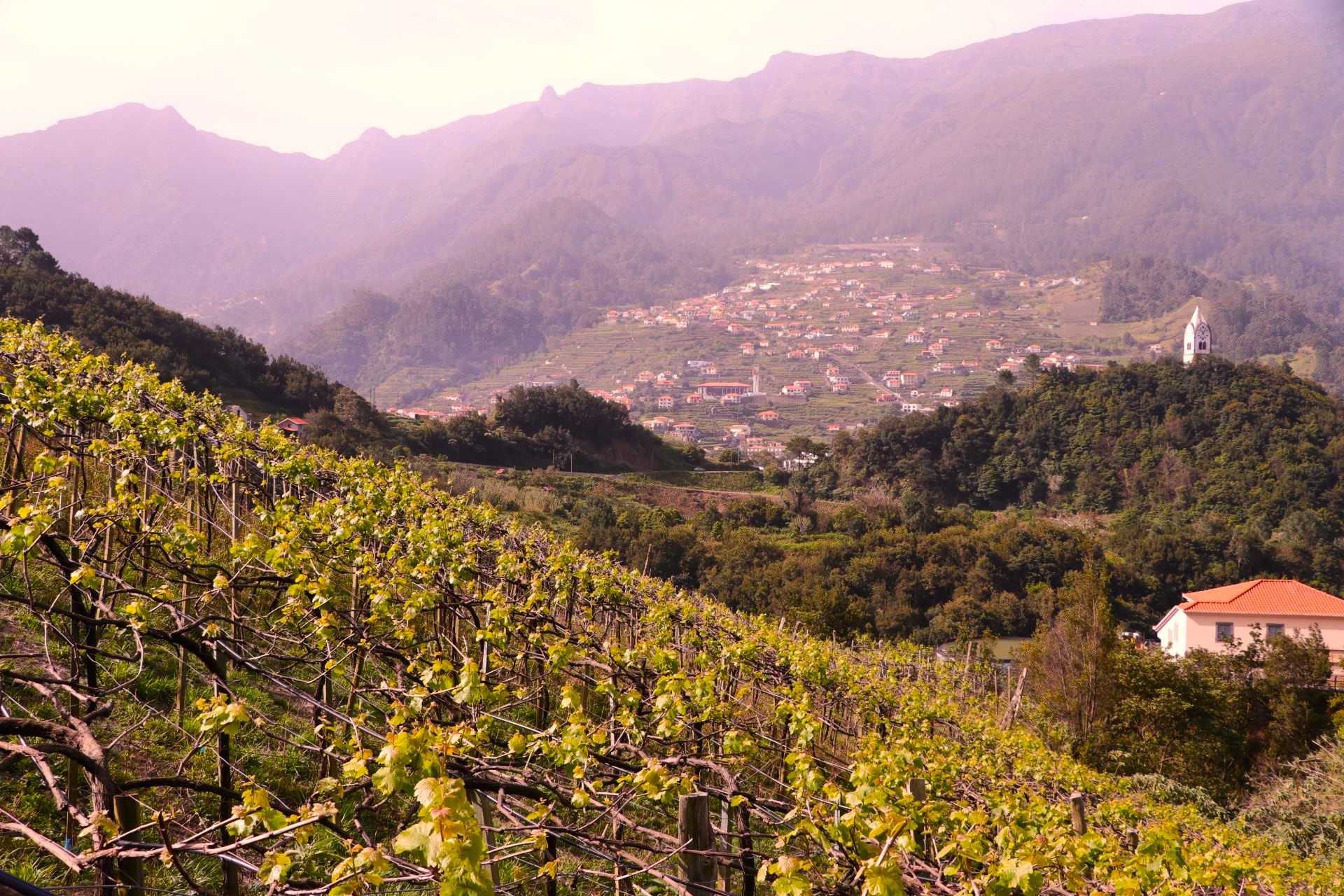 Quinta do Barbusano Madera Portugalia