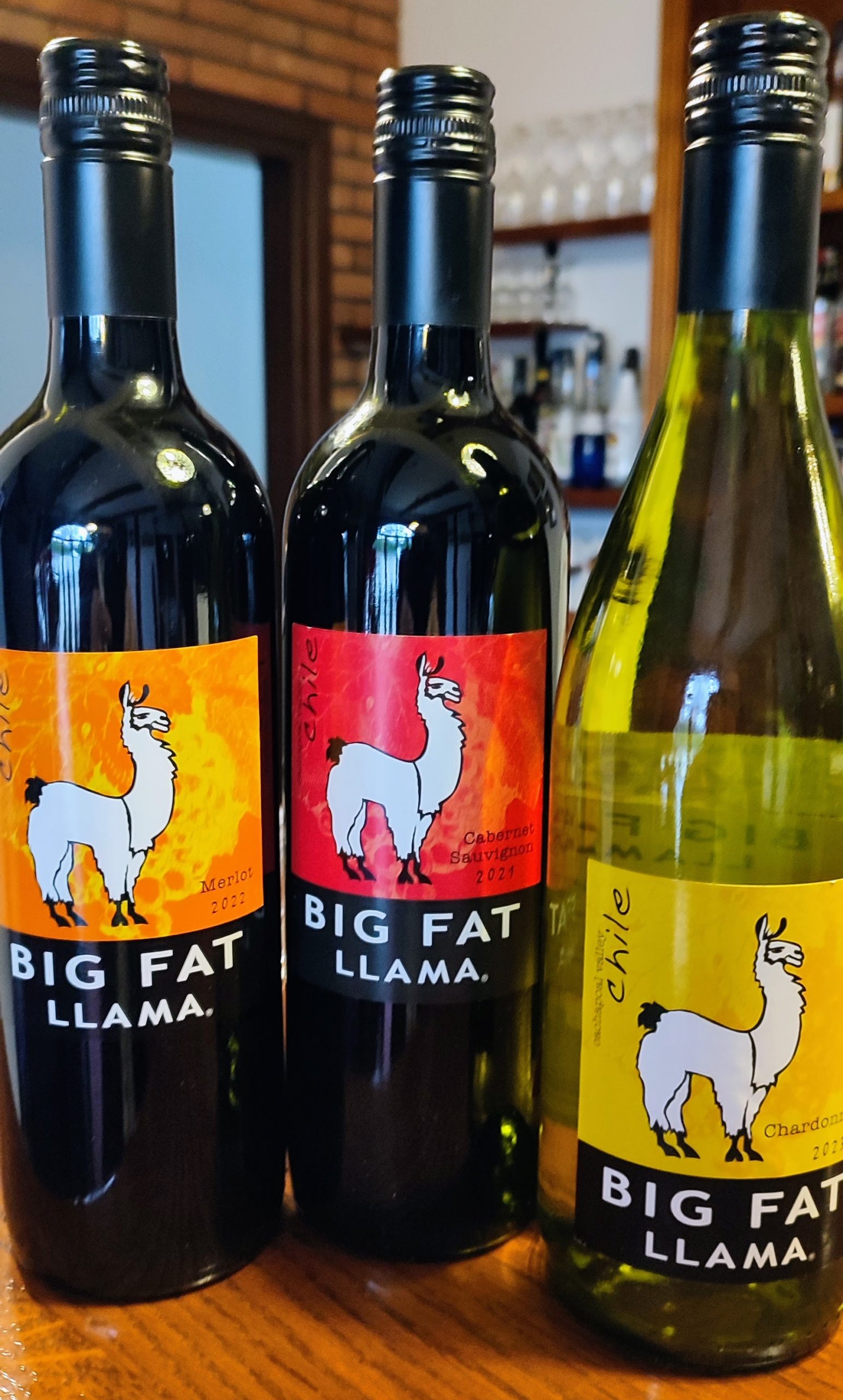 Big Fat Llama wino z Chile w Folwark Stara Winiarnia
